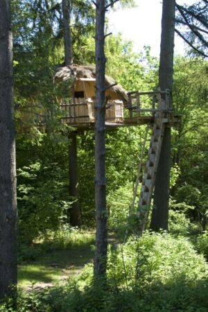 La cabane du chef, une cabane perchée à environ 6/7 mètres de haut, pour 3 personnes, enfant à partir de 10 ans