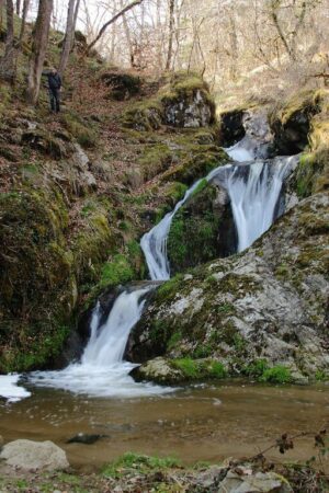 Proche de Saint Gervais d'Auvergne, une cascade à venir découvrir