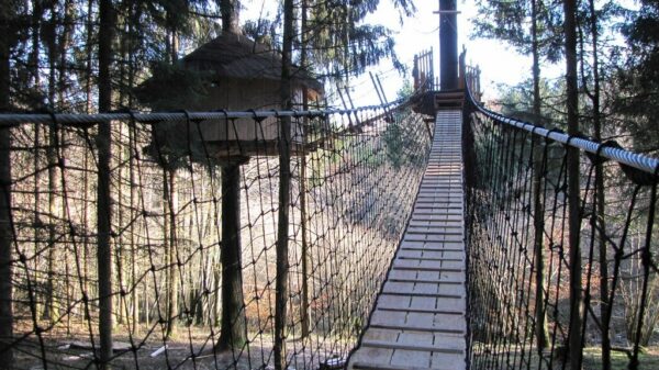 Vue sur le pont de singe de la cabane Romaine